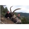 Image 5 : 4-DAY TROPHY BECEITE IBEX HUNT IN SPAIN FOR 1 HUNTER