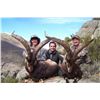 Image 7 : 4-DAY TROPHY BECEITE IBEX HUNT IN SPAIN FOR 1 HUNTER