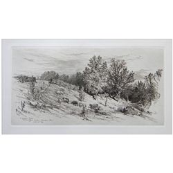 James Smillie original etching "A Fallow Field"