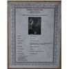 Image 3 : PICASSO ORIGINAL LITHOGRAPH 1961- TORO Y TOREROS