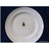 Image 6 : 1 - 10 1/8" Dinner Plate
