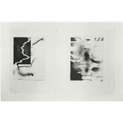 Bimal Banerjee, Parabole - XXX, Diptych Fumage