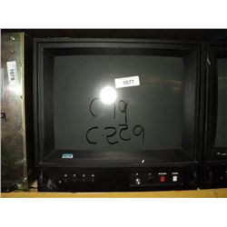 Video Monitor