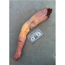 SEVERED ROTTEN ZOMBIE ARM SILICONE GORE CHEWED CHOPPED OFF FINGERS HORROR PROP