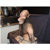 Image 3 : WATCHERS REBORN ANIMATRONIC WEREWOLF PUPPET JOHN BUECHLER F/X SHOP LIQUIDATION