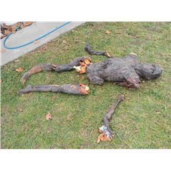 ROTTEN ZOMBIE CORPSE HORROR PROP JOHN BUECHLER F/X SHOP LIQUIDATION