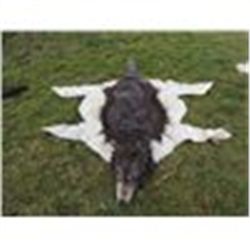 INDIAN WOLF SKIN CEREMONIAL HEADDRESS 3 JOHN BUECHLER F/X SHOP LIQUIDATION