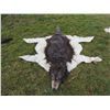 Image 1 : INDIAN WOLF SKIN CEREMONIAL HEADDRESS 3 JOHN BUECHLER F/X SHOP LIQUIDATION