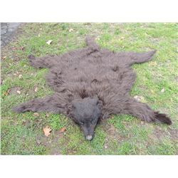 INDIAN WOLF SKIN CEREMONIAL HEADDRESS 4 JOHN BUECHLER F/X SHOP LIQUIDATION