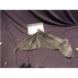 BRIDE OF REANIMATOR DR HILL FLYING HEAD BAT WING JOHN BUECHLER F/X SHOP LIQUIDATION