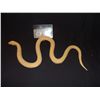 Image 1 : SNAKES ON A PLANE UNUSED URETHANE BLACK MAMBA SNAKE CASTING