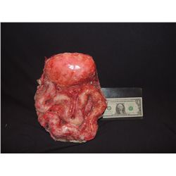 TRUE BLOOD SCREEN USED ENTRAILS