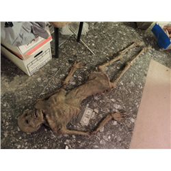 COMPLETE MUMMY MUMMIFIED CORPSE ON REAL SKELETON BONES