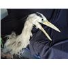 Image 2 : ANIMATRONIC STORK PUPPET COMMERCIAL USED PROP