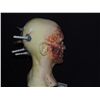 Image 2 : TRUE BLOOD SPECIAL EFFECTS VAMPIRE HEAD PUPPET WITH BLOOD RIGS ATTACHED