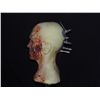 Image 3 : TRUE BLOOD SPECIAL EFFECTS VAMPIRE HEAD PUPPET WITH BLOOD RIGS ATTACHED