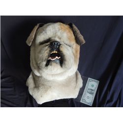 SPRUNG SCREEN USED HERO BULL DOG DOG MASK MASCOT 