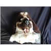 Image 1 : SPRUNG SCREEN USED LABRADOR RETRIEVER DOG MASK MASCOT 