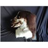 Image 2 : SPRUNG SCREEN USED LABRADOR RETRIEVER DOG MASK MASCOT 