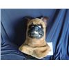 Image 1 : SPRUNG SCREEN USED HERO BOXER DOG MASK MASCOT 