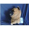 Image 2 : SPRUNG SCREEN USED HERO BOXER DOG MASK MASCOT 