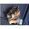 Image 2 : SPRUNG SCREEN USED HERO GERMAN SHEPHERD WOLF WEREWOLF DOG MASK MASCOT 