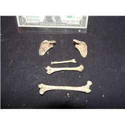 TERMINATOR 2 T2 SCREEN USED FUTURE WAR SCENE BONES LOT OF 5