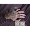 Image 1 : MONSTER MAN TV SHOW WEREWOLF HAND SOLID NOT WEARABLE
