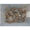 Image 1 : MAGNOLIA CASE OF 25 SCREEN USED FROGS