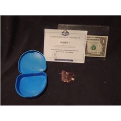 WHIP IT SHANIA SCREEN USED TOOTH & RETAINER EULALA SCHEEL ROLLER DERBY