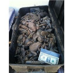 MAGNOLIA 65 POUND CASE OF UNPAINTED STUNT FROGS SCREEN USED