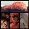 Image 1 : SHIVERS THEY CAME FROM WITHIN SCREEN USED SLUG PARASITE 1975 DAVID CRONENBERG
