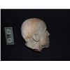 Image 3 : UNKNOWN SEVERED HEAD FOR HAUNT OR INDY FILM USE