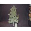 Image 1 : LARGE MINIATURE PINE TREE FOR TRAIN SET OR SCALE PUPPET LANDSCAPE