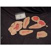 Image 1 : LATEX WOUND APPLIANCE LOT JOHN BUECHLER F/X SHOP LIQUIDATION
