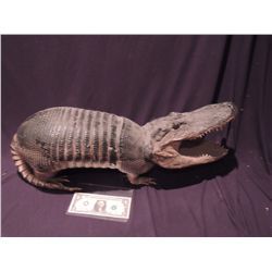 MASTERS OF HORROR ARMADILLO WITH ALLIGATOR HEAD REAL BISCHOFF'S TAXIDERMY
