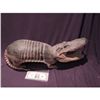 Image 1 : MASTERS OF HORROR ARMADILLO WITH ALLIGATOR HEAD REAL BISCHOFF'S TAXIDERMY