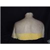 Image 2 : TRUE BLOOD SCREEN USED VAMPIRE SILICONE BUST CHEST