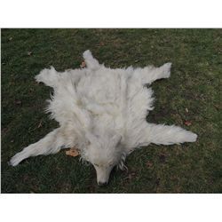 INDIAN WOLF SKIN CEREMONIAL HEADDRESS 1 JOHN BUECHLER F/X SHOP LIQUIDATION