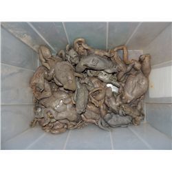 MAGNOLIA CASE OF 25 SCREEN USED FROGS