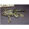 Image 1 : MAGNOLIA SCREEN USED HERO PAINTED UNARMATURED FROG