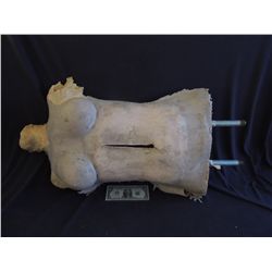 ALIEN CHEST BURSTER FEMALE SILICONE BODY CORPSE FOR MORTAR SURGERY IMPALEMENT 1001 USES!