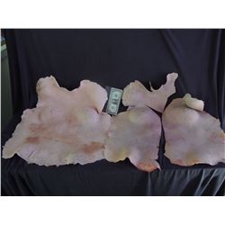 HOUSE AUTOPSY FEMALE TORSO SKIN SCREEN USED & EXTRA
