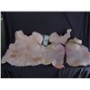 Image 1 : HOUSE AUTOPSY FEMALE TORSO SKIN SCREEN USED & EXTRA