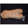 Image 1 : FEMALE FULL TORSO WITH MOUNTS ANATOMICALLY CORRECT WITH BREASTS & VAGINA VERY DURABLE URETHANE