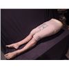 Image 1 : HOUSE M.D. SCREEN USED SILICONE LEGS FEET AND LOWER TORSO