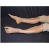 Image 2 : HOUSE M.D. SCREEN USED SILICONE LEGS FEET AND LOWER TORSO