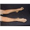 Image 3 : HOUSE M.D. SCREEN USED SILICONE LEGS FEET AND LOWER TORSO