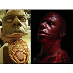 SLICED UP HUMAN HEAD IN 3 PIECES SCREEN USED SILICONE BEST SEVERED HEAD I HAVE EVER OFFERED!