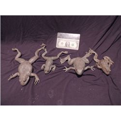 MAGNOLIA  COMPLETE SET OF UNPAINTED STUNT TREE BULL FROG & BOTH TOADS SCREEN USED